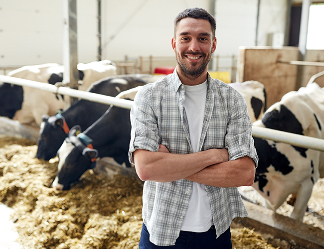 person standing with cows