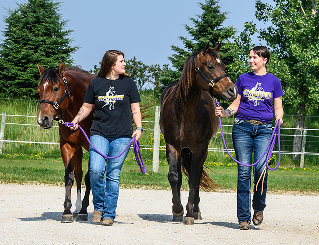 students walking horses