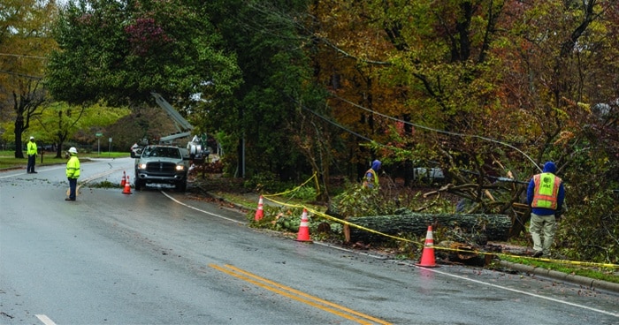 trees-down-on-road-construction-crew-working