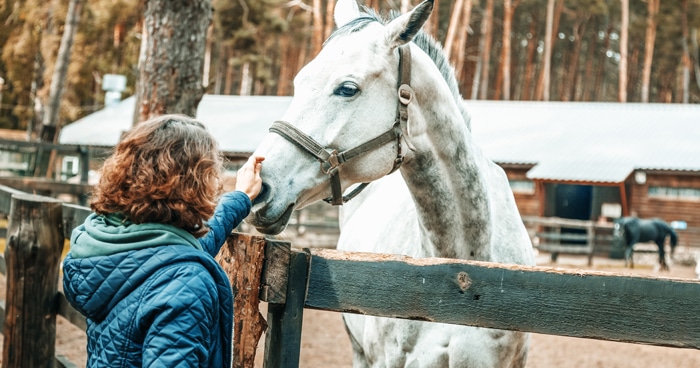 woman-petting-white-horse