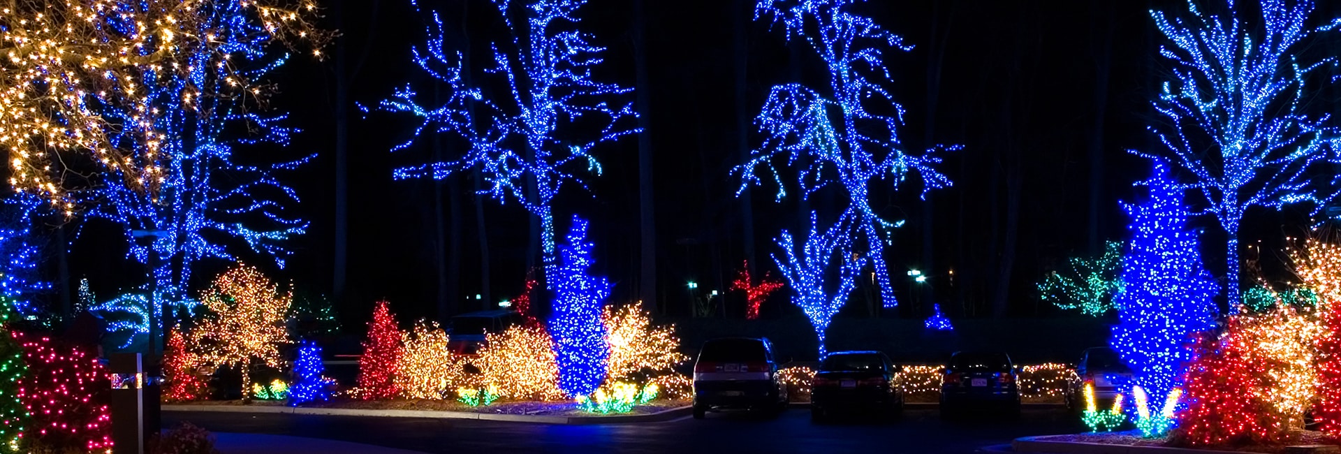 holiday-christmas-lights